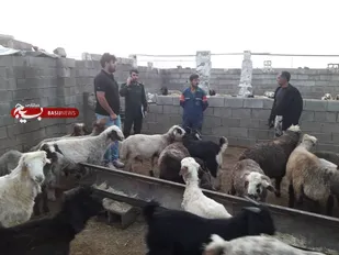 مشکلات تعاونی ها و دامداری های شهرستان چرام بررسی شد