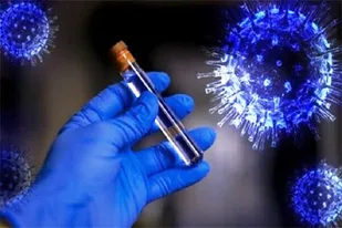 سیر صعودی ابتلا به کرونا در گناوه