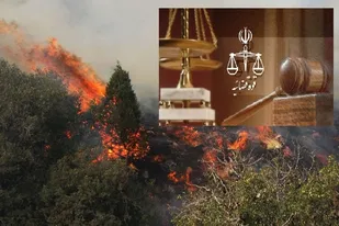 برخورد شدید قضایی با آسیب زنندگان به جنگل&zwnj;ها