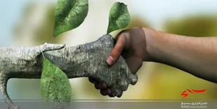 تشکیل گروه&zwnj;های جهادی همیار محیط&zwnj;زیست در لرستان
