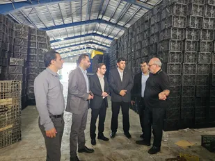 تولید، خط مقدم امروز است