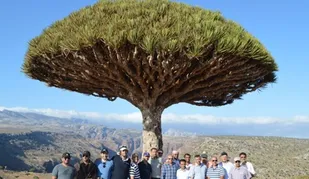 امارات پرچم رژیم صهیونیستی را در سقطری یمن برافراشت + عکس