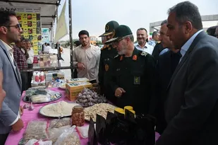 جشنواره بزرگ سير تيمورلو در پايتخت سير کشور برگزار شد