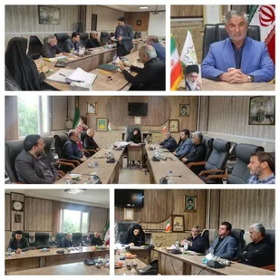 سید مرتضی طباطبائی رئیس شورای شهر پیشوا ماند