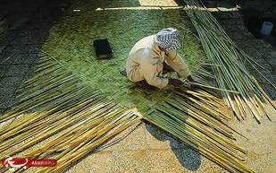 حصیربافان هورنشین