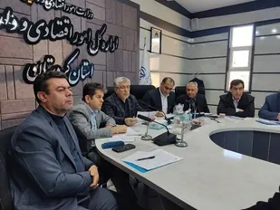 ۶۸ درصد تعهد اشتغال در کردستان محقق شد