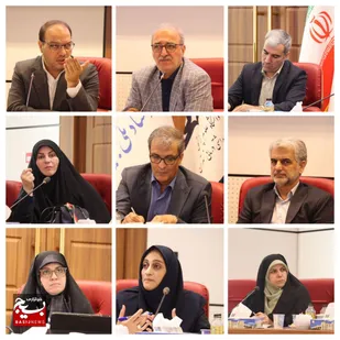 پنل تخصصی &laquo;سیاست&zwnj;های جوانی جمعیت، ازدواج، تحکیم خانواده و کارت امید مادر&raquo; برگزار شد