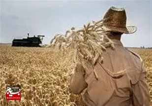 مشارکت ۱۳۰ هزار بهره&zwnj;بردار اردبیلی در جهش تولید دیمزارها