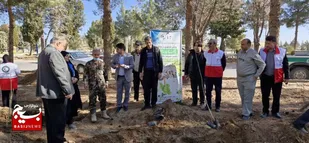 غرس نهال در راستای پویش به نام پدر در بیارجمند