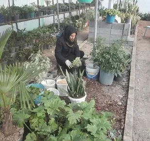خود کفایی و کارآفرینی با پروش و تکثیر گل و&zwnj; گیاه زینتی