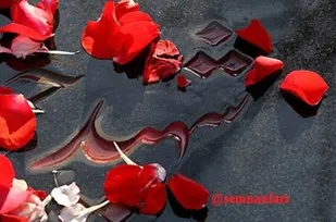 پیکر مطهر یکی از شهدای مفقودالاثر شاهرود شناسایی شد