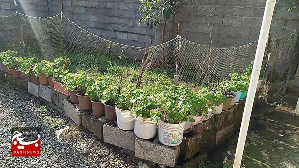 دیدار با خانواده شهید حبیب روحی