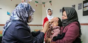 برنامه پزشکی خانواده و نظام ارجاع در کردستان آغاز شد