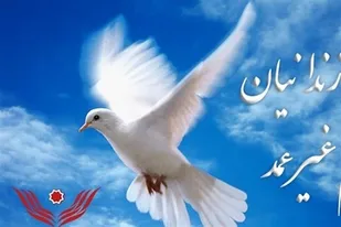 ۲۳۵ زندانی جرائم غیرعمد در استان فارس آزاد شدند