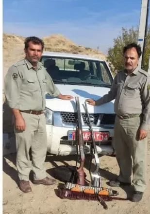 شکارچیان غیر مجاز درچنگال محیط بانان مناطق حفاظت شده مراغه