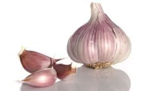 همه چیز درباره گیاه معجزه آسای "سیر"