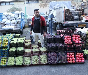 دست دلالان از قیمت گذاری در بازار میوه اهواز کوتاه شد