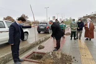 کاشت ۲هزار اصله نهال بلوط در بوکان
