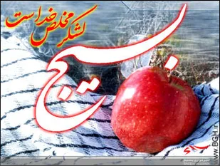 اهدای هدیه و تبریک آغاز سال تحصیلی به مدارس روستاهای تابعه حوزه بسیج خواهران شهید محمدزاده سپاه بجنورد