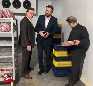 آغاز توزیع روزانه ۳ تن گوشت قرمز با قیمت تنظیم بازار در روستاهای استان قزوین