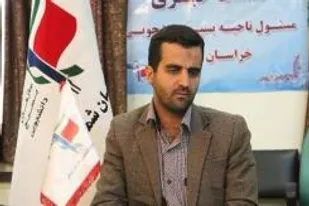 تدوین طرح بومی اقتصاد مقاومتی روستایی