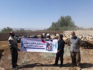 ادامه روند پلاک زنی دام عشایر دهستان اسفندار