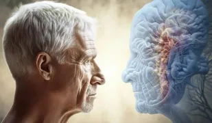 مغز از چه سنی روند پیر شدن را شروع می کند؟