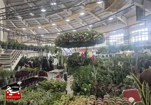 اردبیل میزبان گل&zwnj;کاران 7 استان کشور