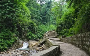 شکارچیان غیرمجاز به پاکسازی زیستگاه&zwnj;های گلستان محکوم شدند