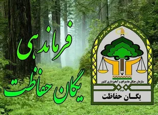 رفع تصرف از 644 هکتار در استان همدان