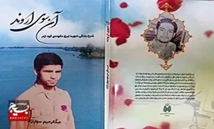 معرفی کتاب؛
&laquo;آن سوی اروند&raquo;