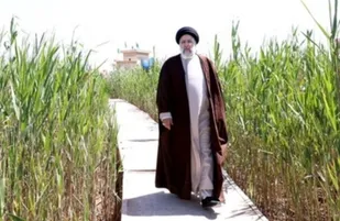 شهید رئیسی توجه به محیط زیست را اصل پروژه&zwnj;های توسعه&zwnj;ای می&zwnj;دانست