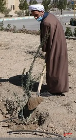 فرمانده لشکر 14 امام حسین (علیه السلام)عنوان کرد:هر درخت به تنهایی یک زندگی است.