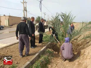 اهدا و کاشت نهال توسط گروه جهادی در حمیدیه