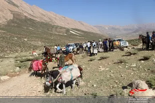 توزیع بسته های معیشتی و فرهنگی در منطقه عشایری صمصامی