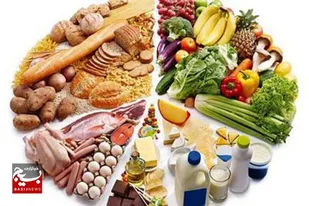 حمایت مجلس از امنیت غذایی کشور