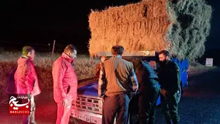 نجات ۲ فرد مفقود شده در جنگل فندقلوی نمین