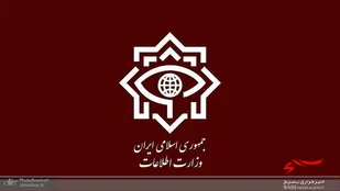 &nbsp;یک تبعه&zwnj;ی سوئد به اتهام جاسوسی بازداشت شد