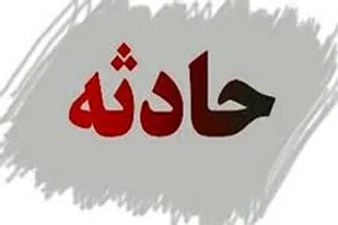 ام وی ام در مرند ۲۱ گوسفند را کشت