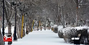 برف مناطق مرکزی و جنوبی استان اردبیل را سفید پوش می&zwnj;کند