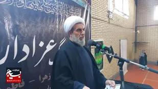 حضرت فاطمه(س)، پرچمدار عید غدیر و جهادگر جهاد تبیین بود