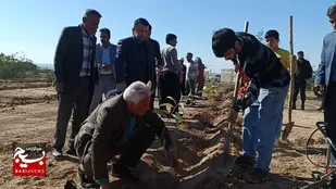 کاشت درخت به یاد مادران همزمان با سراسر کشور در گتوند