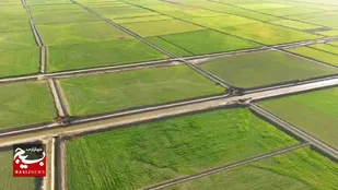 تقویت تولید و اشتغال&zwnj;زایی در خوزستان با تسهیل واگذاری اراضی ملی