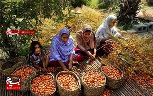 از تولید مسجد محور تا صادرات