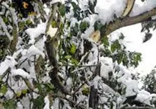کشاورزان شهریار زمین&zwnj;گیر شدند