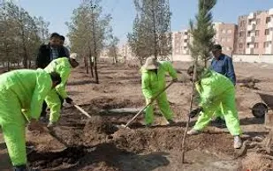 درختکاری برای مقابله با ریزگردها روش مناسبی نیست