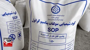 آغاز پرداخت یارانه کودهای فسفاته و پتاسه به کشاورزان اردبیل