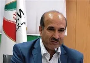 دولت متولی ورزش حرفه ای نیست