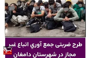 طرح ضربتی جمع&zwnj;آوری اتباع غيرمجاز در دامغان