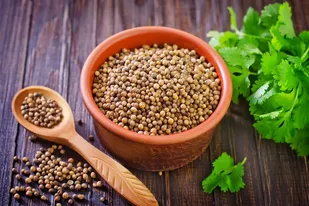 نهاوند؛ قطب طلایی تولید گیاهان دارویی کشور&nbsp;